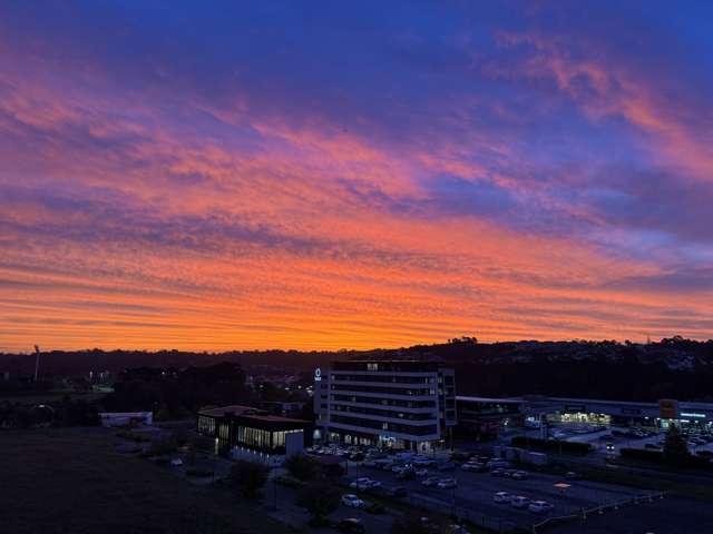 506/2A Munroe Lane Albany_1