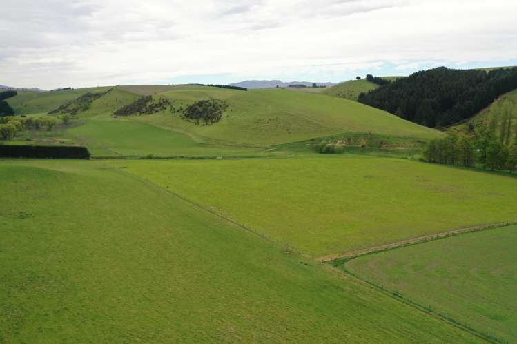 1201 Pareora River Road Maungati_16