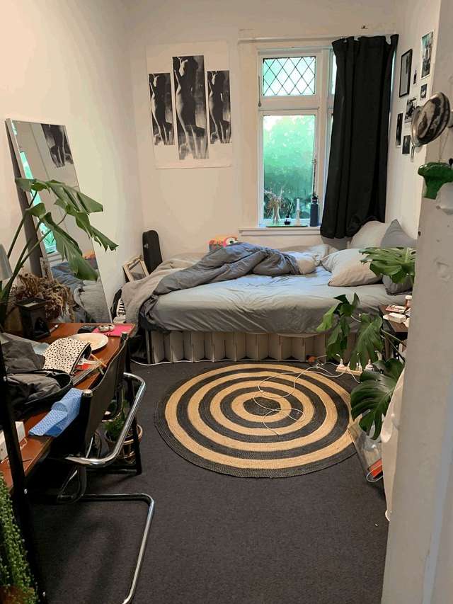 53 Durham Street Aro Valley_3