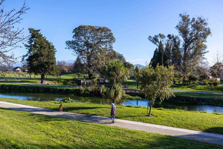 118 Alfred Street Blenheim Central_30