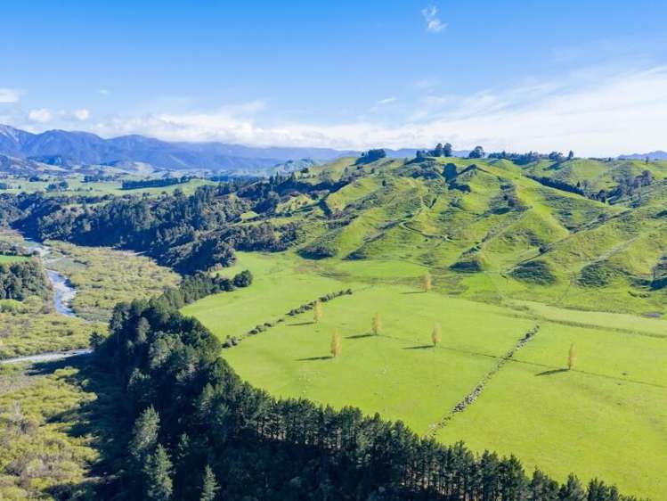 1139 Blackburn Road Central Hawkes Bay_1