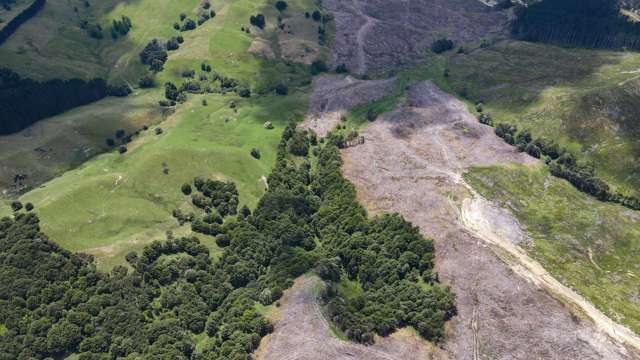 Bull Road Paparoa_2