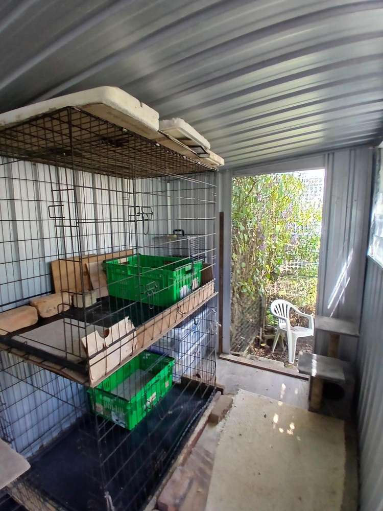 4 Lavinia Place Kawau Island_12