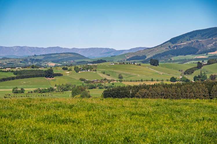 285 Greenvale Road Geraldine_9