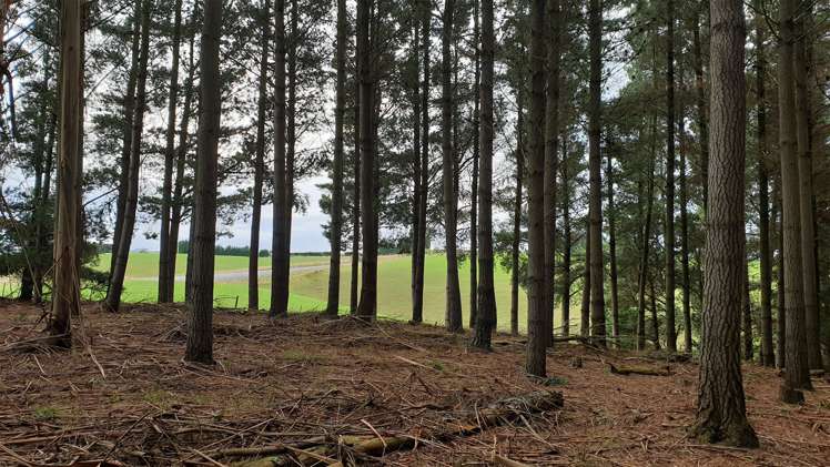 Tuapeka West Road Lawrence_6