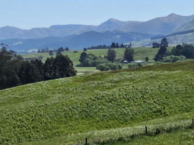 Premium lifestyle sections - Palmerston