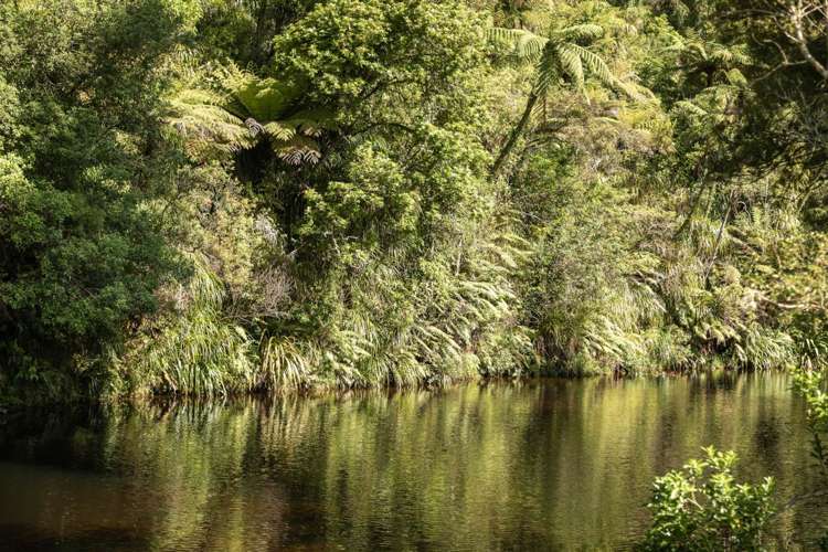 209 Franklin Road Waihi_38