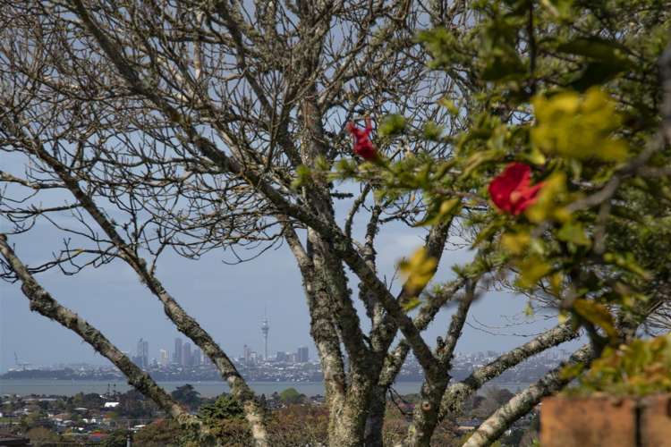 5 Tatyana Place Massey_13