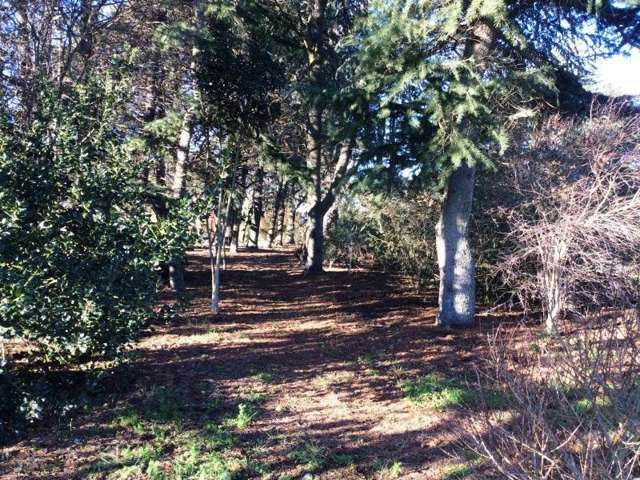 137 Pearces Road West Melton_2