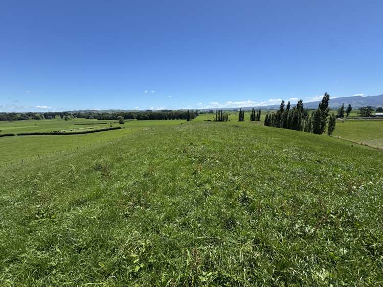 Lot 4 Pokuru Road Rd 3 Te Awamutu_8