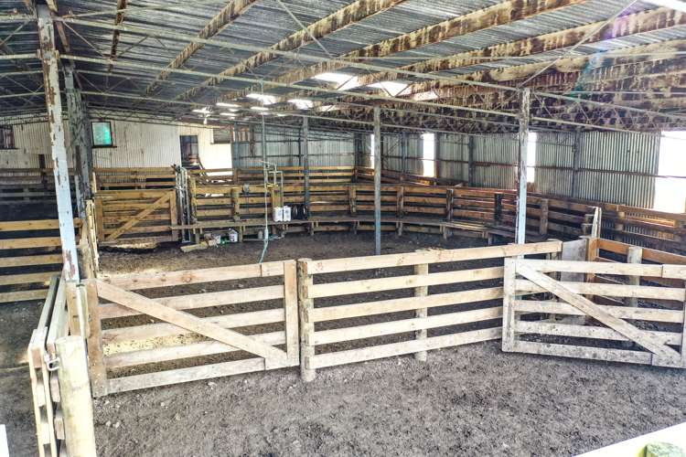 85289 State Highway 2 Eketahuna_11