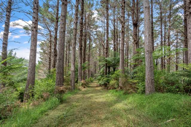 170 Ashton Road Whangateau_2