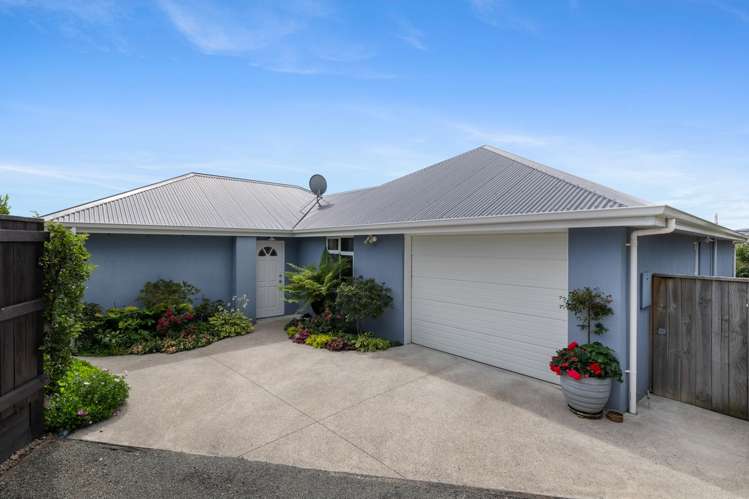 16A Ashwood Drive Witherlea_13