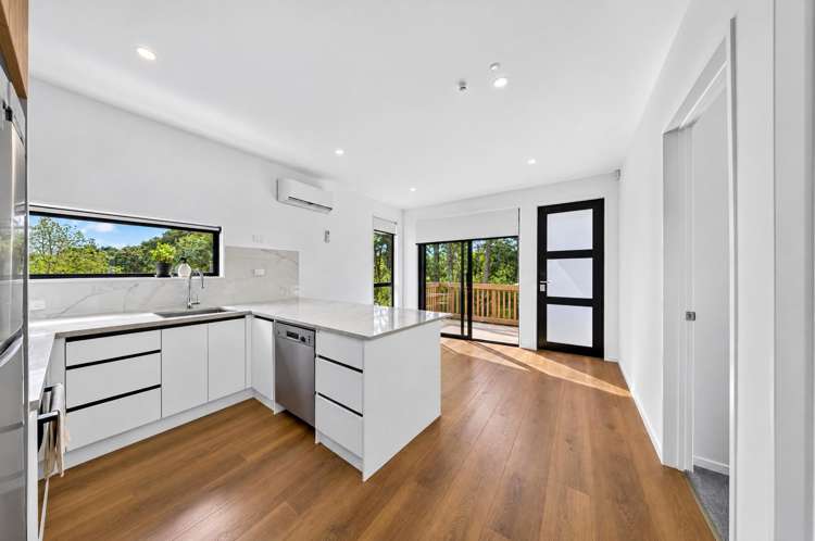 64 Wilson Road Dairy Flat_18
