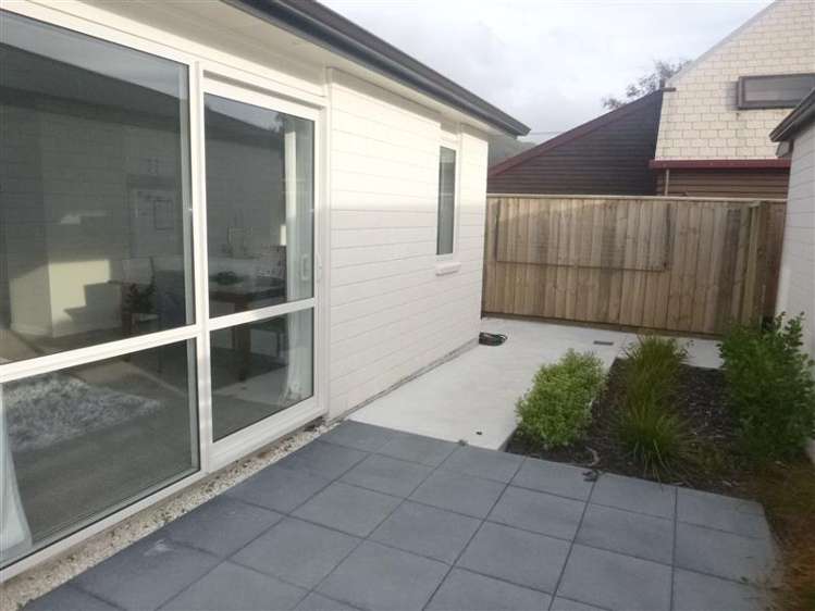 29b Collingwood Street Waterloo_2