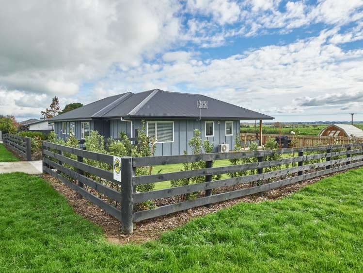 29 Rata Street Tokomaru_21