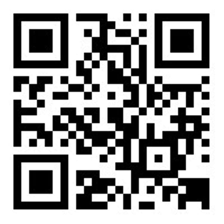 127 Yaldhurst Road Sockburn_19