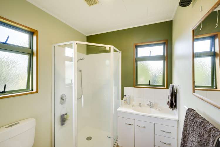 15 Southwark Avenue Tamatea_13