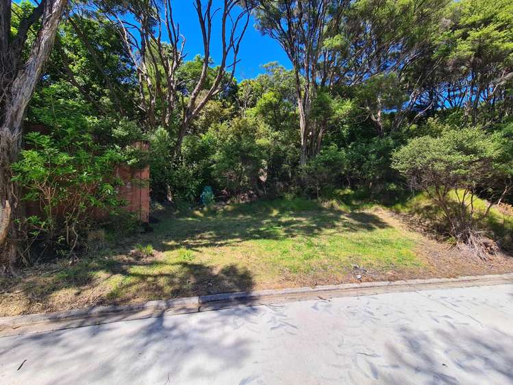 98 Kowhai Drive Coromandel_11