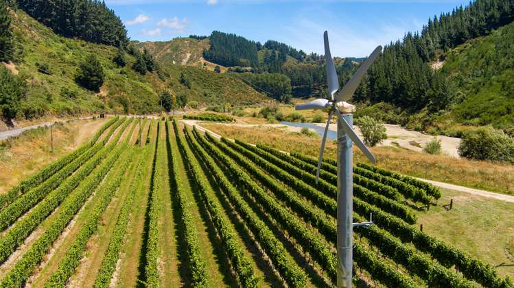 Northbank Road Kaituna_11