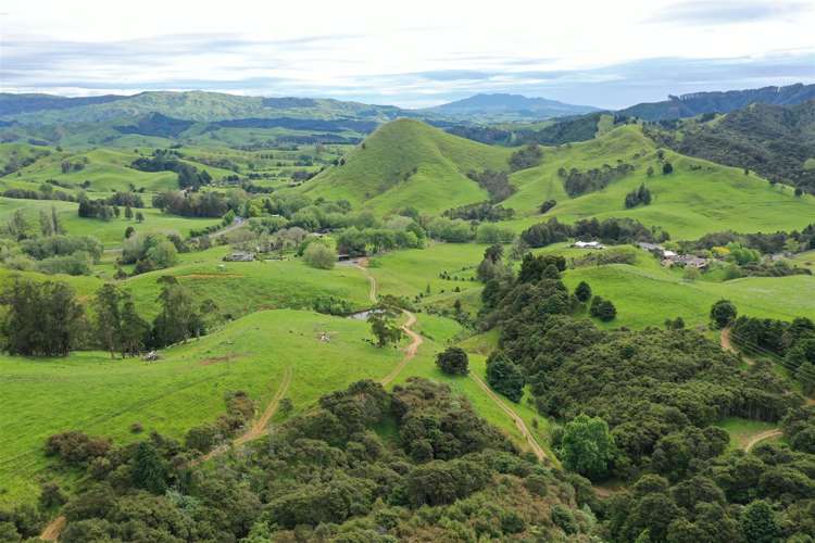 40 Cogswell Road Raglan_35