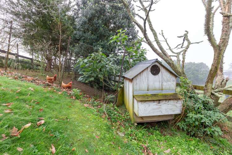 10 Josephine Place Te Kauwhata_13