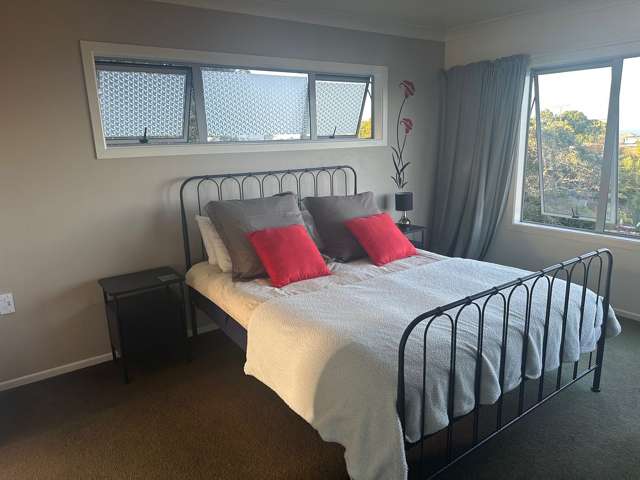 188 Browns Bay Road Browns Bay_4