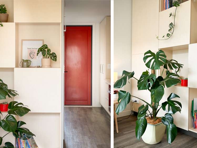 24/10 Rex Street Riccarton_4