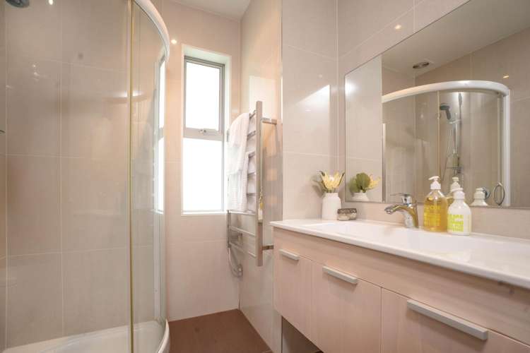 150 Wright Road Dairy Flat_19