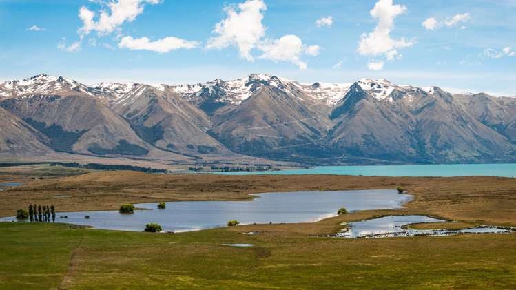 Lagoon Block, Ohau Downs Station_0