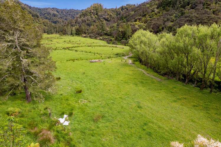 3133 Mokau Road Mokau_7