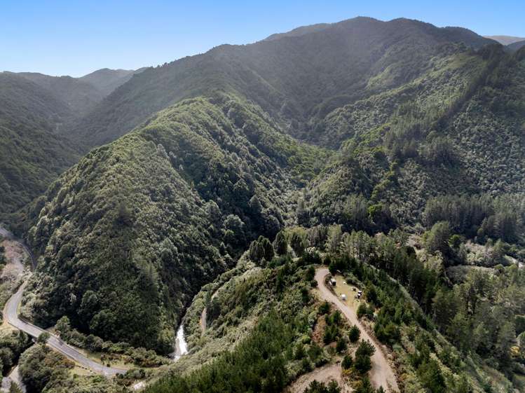 Zero Akatarawa Road Brown Owl_22