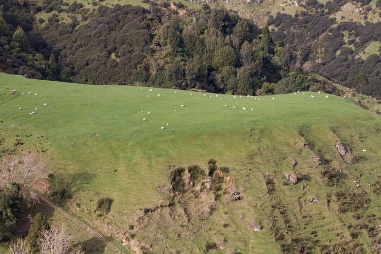 820 Rangitatau West Road Waitotara_14