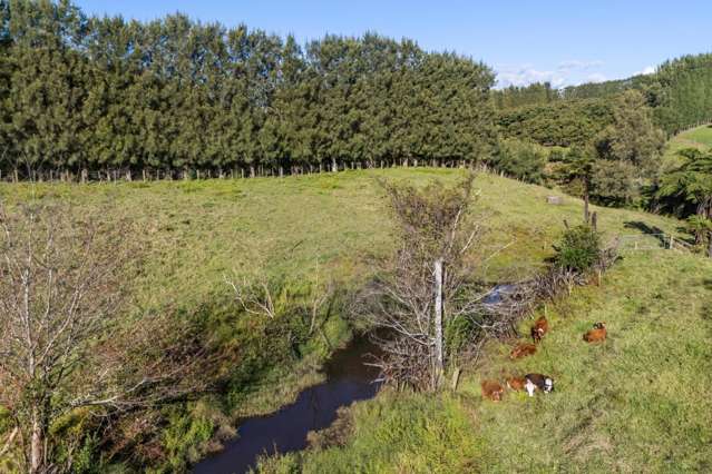 222 Wharawhara Road Katikati_2