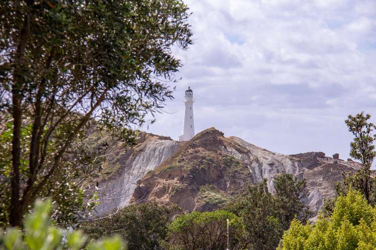 11 Guthrie Crescent Castlepoint_13
