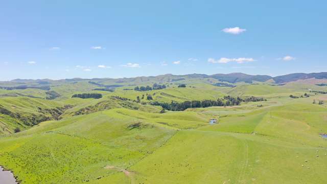 Nikau – Sound sheep and beef opportunity