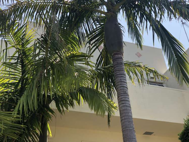 2/18 Auckland Road Saint Heliers_19