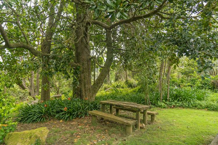 895 Tairua Whitianga Road, SH25 Whenuakite_6