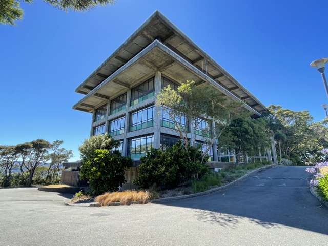 30 Salamanca Road Kelburn_2