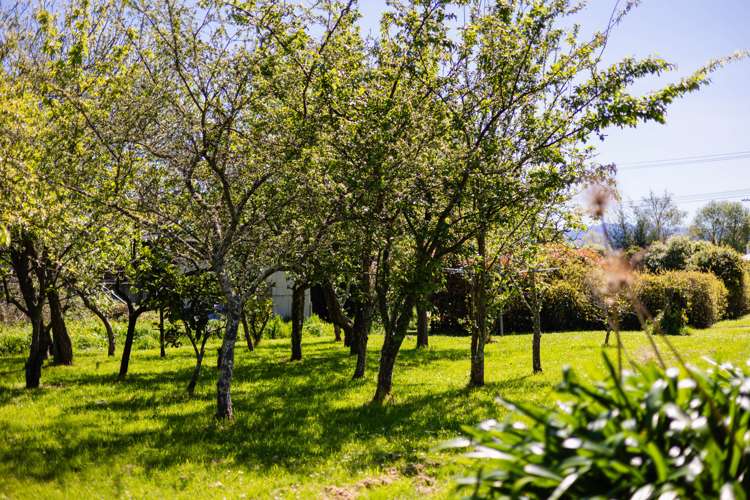 93a Harley Street Solway_24