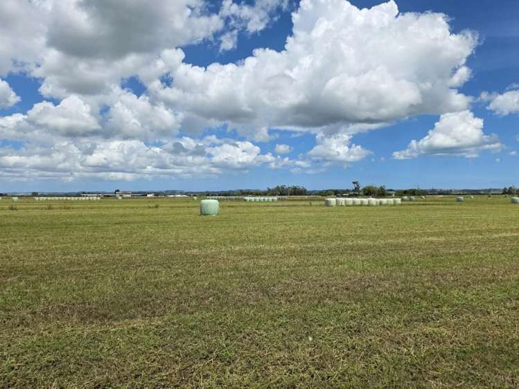 Blong Road Ruawai_14