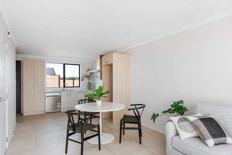 5 Te Ara Tanekaha Omokoroa_9