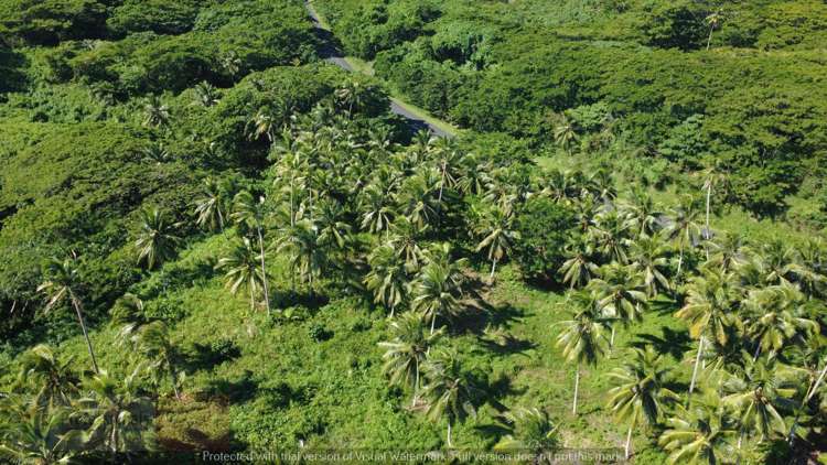 Address withheld Savusavu_12