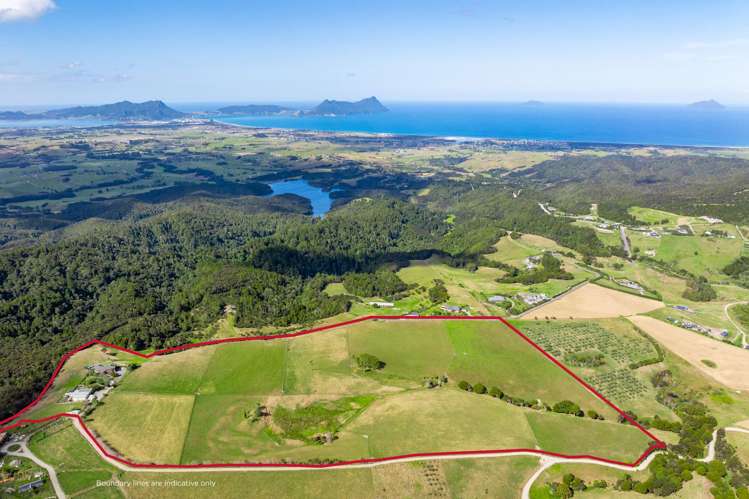 585 Ormiston Road Waipu_1