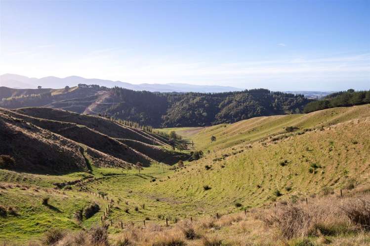 Win Valley Road Upper Moutere_5