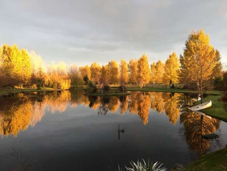 106 Raddens Road Ohoka_23