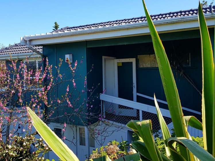 6 Ayr Street Waihi Beach_18