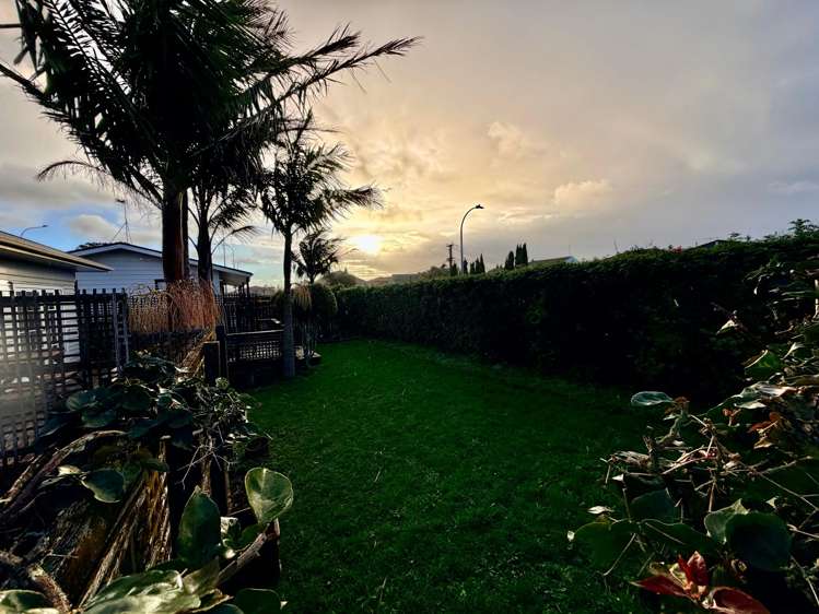 18 Jasper Ave Mount Roskill_10
