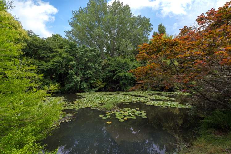 403 Hamurana Road Ngongotaha_17