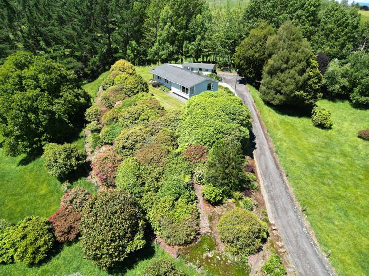 1155 Makuri Road Stratford_22